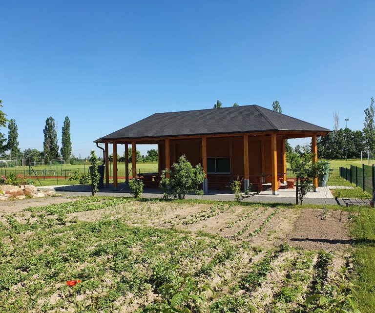 Zu sehen ist ein neu angelegter Schulgarten.